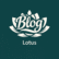Lotus Blog